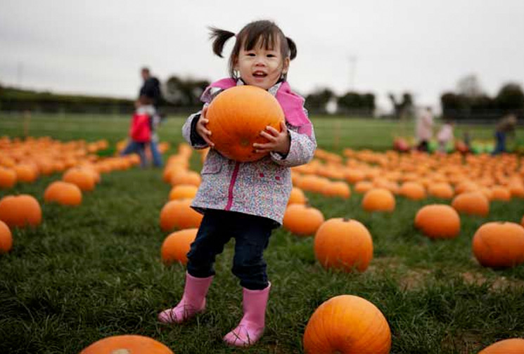 Girl with pumpkins