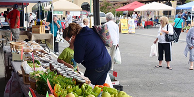 OCPM_02535404-5056-8c03-0b49a7f1eeeac8bb