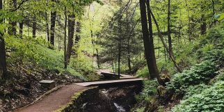 ocnewyork-Instagram-1954-ig-17903546809318238__ResizedImageWzMyMiw0MDBd