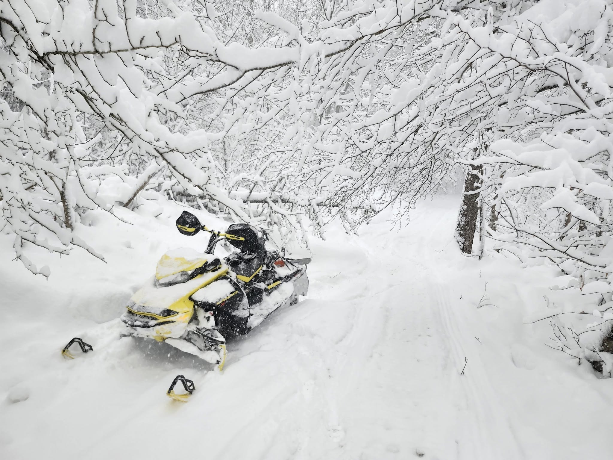 Snowmageddon in Oneida and Herkimer: Tales of Snowflakes, Sleds