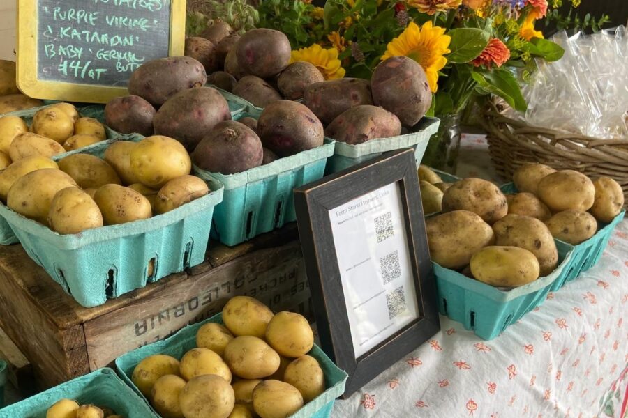 Biscuitwood Farm potatos