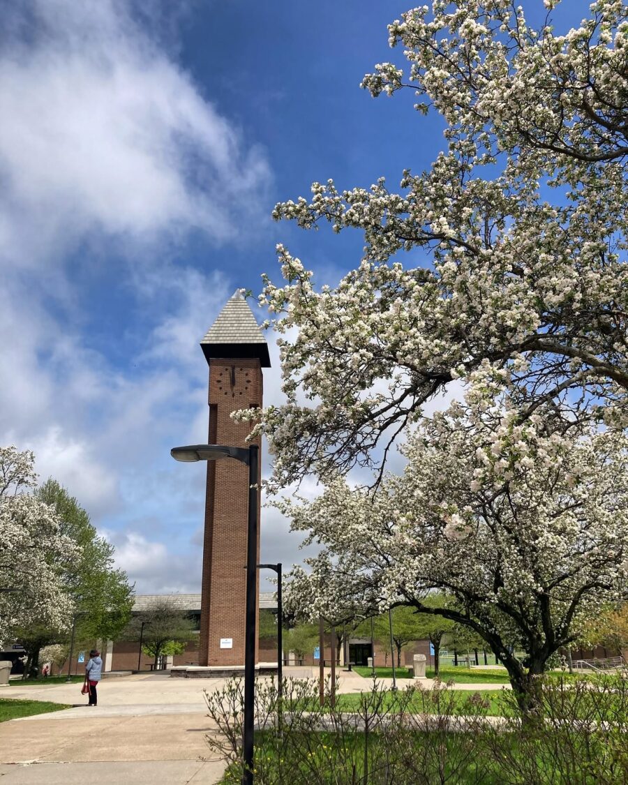 SUNY Fulton Montgomery Apple Blossoms SUNY Fulton Montgomery Apple Blossoms